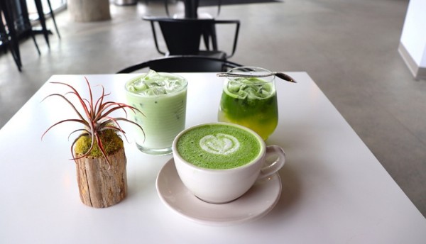 Matcha Çayı Nedir? Matcha Çayı Faydaları